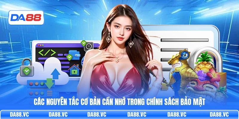 Các nguyên tắc cơ bản cần nhớ trong chính sách bảo mật